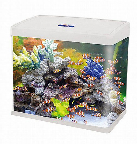 �������� ������ �������� 35 ���� ��� ��� ����/����/����/��� Sea Star HX-390F