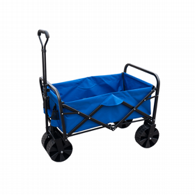 ���� ������ 4 ������ ���� ��� FireFly �����