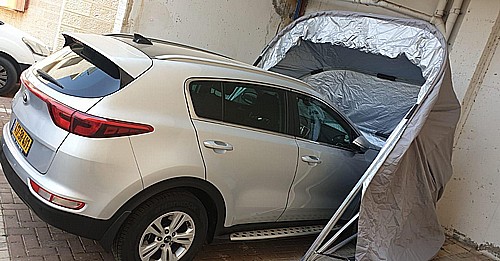 ���� ������ ����