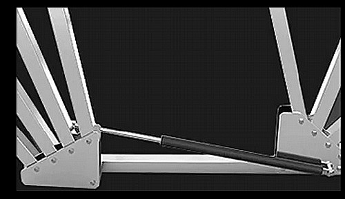 ���� ������ ����