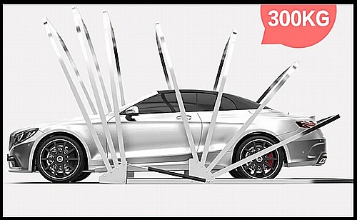 ���� ������ ����