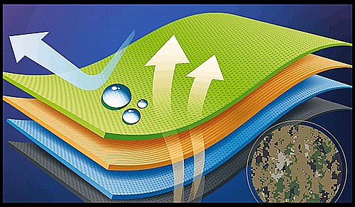 ���� ������ ����