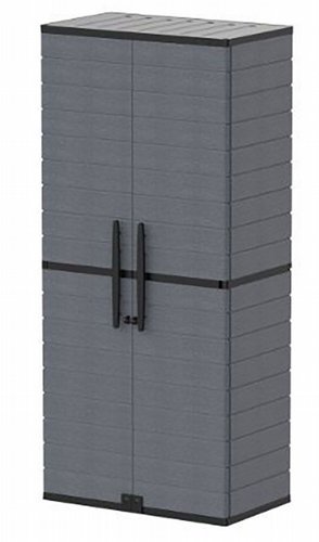 ���� ����� ������