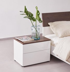 ���� ���� ����� Doron ��� ������ ���� ����� RAMOS