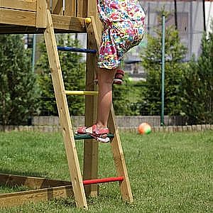 ���� ������� ��� �� ������ FUNGOO Carol 2