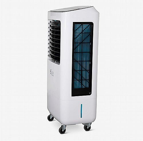 ���� ����� 