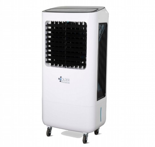 ���� ����� 