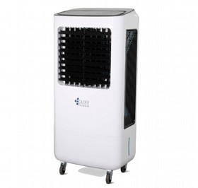 ���� ����� 