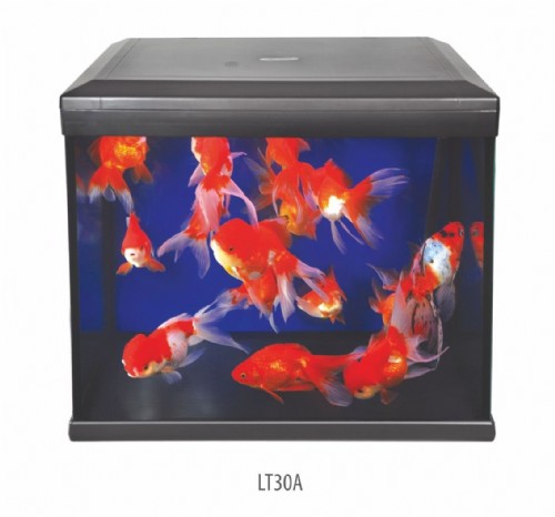 �������� 30 ���� �������� AQUA SYNCRO LT30A