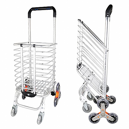 ���� ����� ����� ������� ����� 40 ���� ����� 