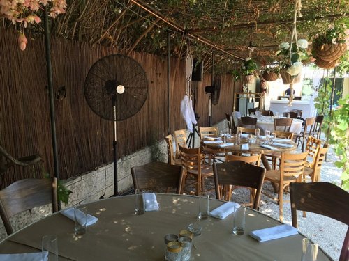 ������ ������� ���� 30 ���� ����