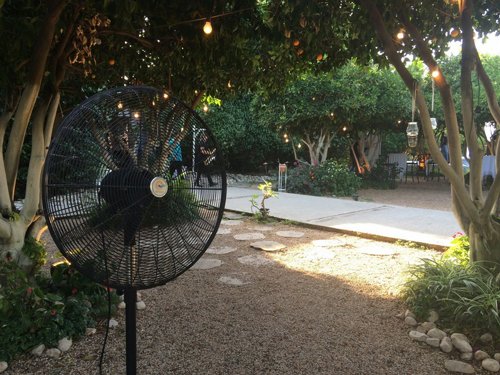 ������ ������� ���� 30 ���� ����