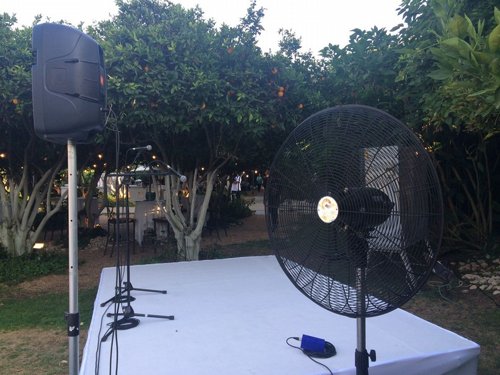 ������ ������� ���� 30 ���� ����