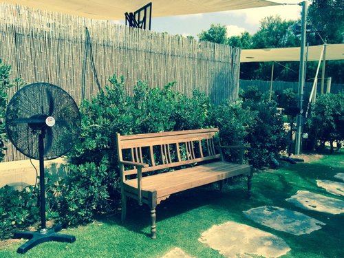 ������ ������� ���� 30 ���� ����