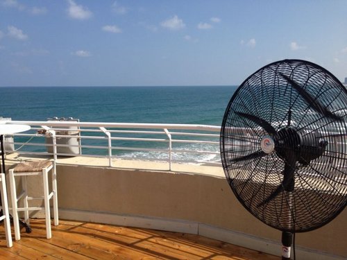 ������ ������� ���� 30 ���� ����