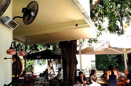 ������ ������� ���� 30 ���� ����