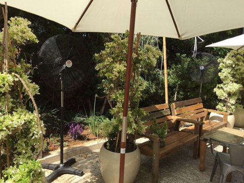 ������ ������� ���� 30 ���� ����