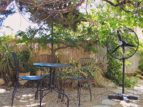 ������ ������� ���� 30 ���� ����