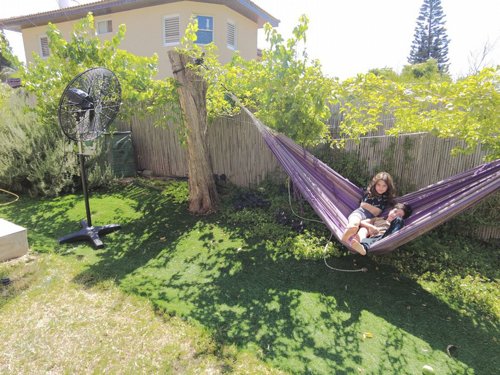 ������ ������� ���� 30 ���� ����