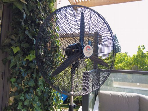 ������ ������� ���� 30 ���� ����