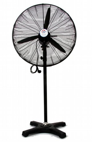 ������ ������� ���� 30 ���� ����