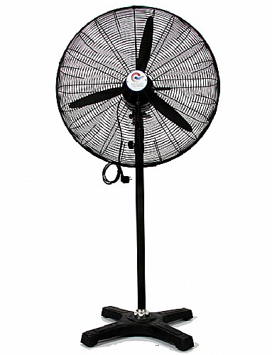 ������ ������� ���� 30 ���� ����