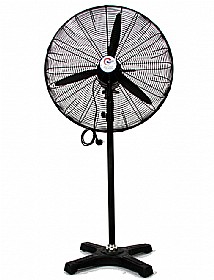 ������ ������� ���� 30 ���� ����