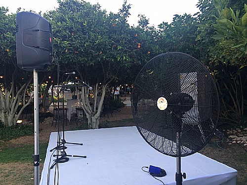 ������ ������� ���� 30 ���� ����