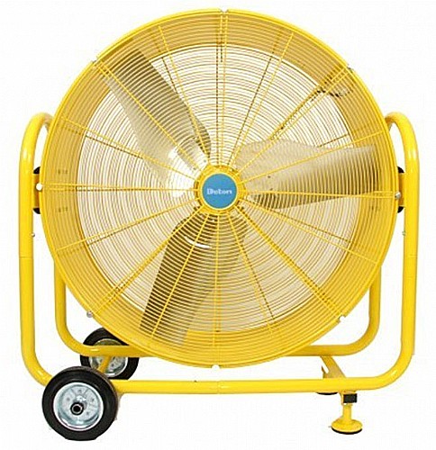 ������ ���� ���� ����� 36 ���� 