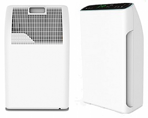 ���� ����� ���� 