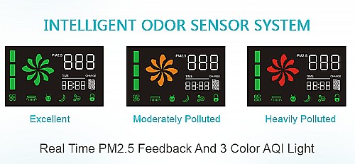 ���� ����� 