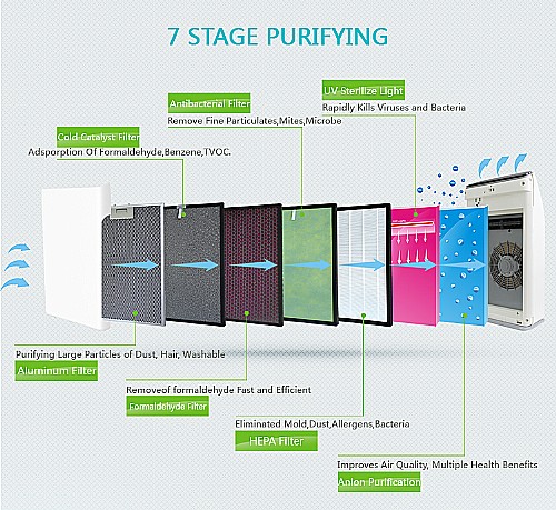 ���� ����� 