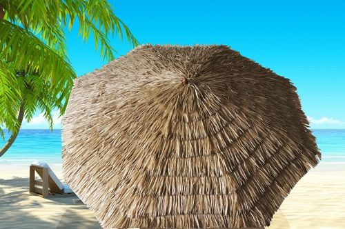 ����� ������ �� ����� 3 ��� PLAYA
