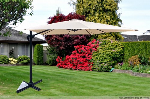 ����� ������� �����