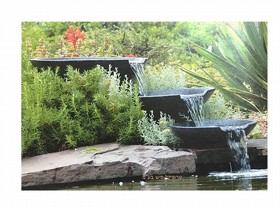 ��� ��� ����� ��������� ����� "���� ������" NOVA SCOTIA