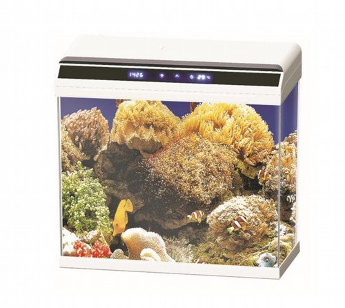 �������� ������ 78 ���� ��� ��� ����� ���� ����� ����� + ����� + ����� + ����� ��� Sea Star OY-620-BT