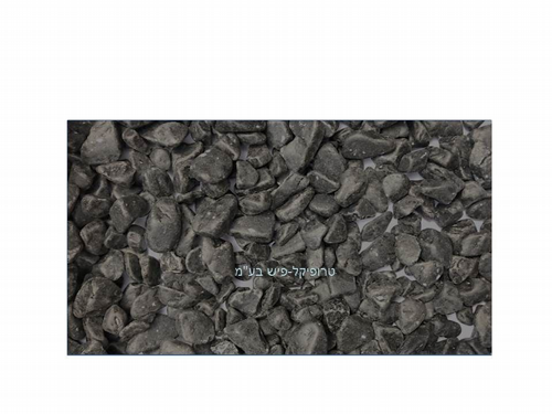 ��� ���� ��������� ��� ��� 350 ��� ����� REF-176