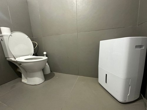 ���� ����