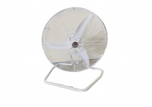 ������ 26 ���� ����� ������ ������� ��� PRO 65