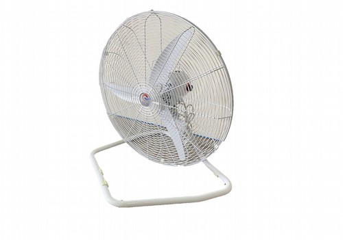 ������ 26 ���� ����� ������ ������� ��� PRO 65