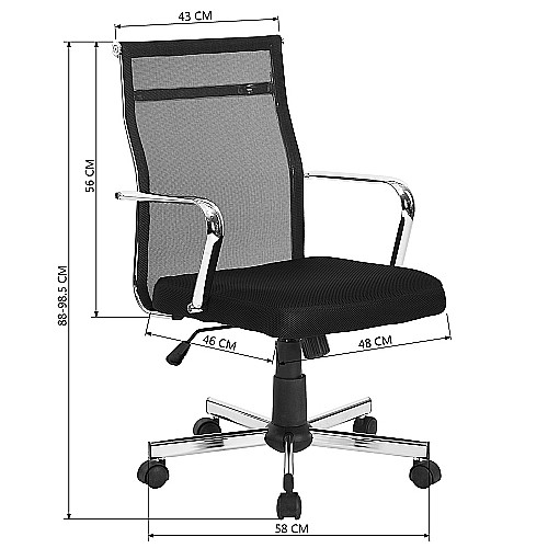 ���� ������ HOMAX SILVER