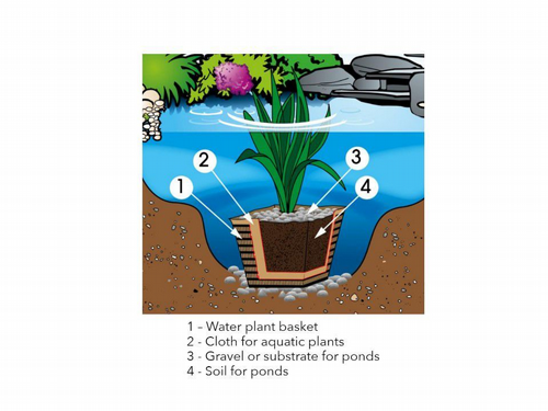 ���� ����� ������ ����� ��� ������ ��� ��� ��� �� 20 ���� UBBINK Aquatic plant soil