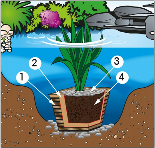 ���� ����� ������ ����� ��� ������ ��� ��� ��� �� 20 ���� UBBINK Aquatic plant soil