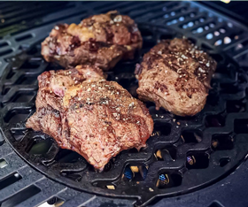 ��� ����� ������ Enders SWITCH GRID