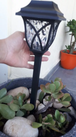 ������� ������� �������� ������ �������