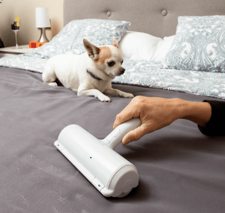 ���� ����� ���� ����� ���� InnovaGoods