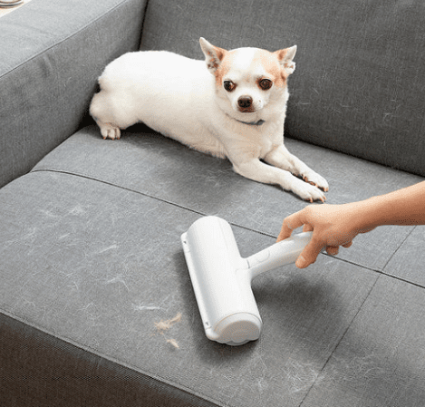 ���� ����� ���� ����� ���� InnovaGoods