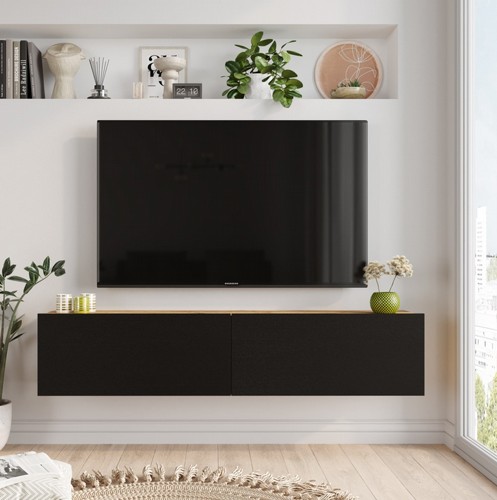 ����� �������� �� ����-���� HOMAX ARISTO FR10-AB