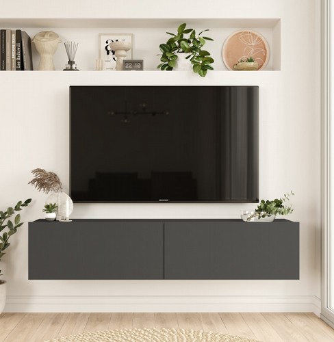 ����� �������� �� ��� HOMAX ARISTO FR10-AN
