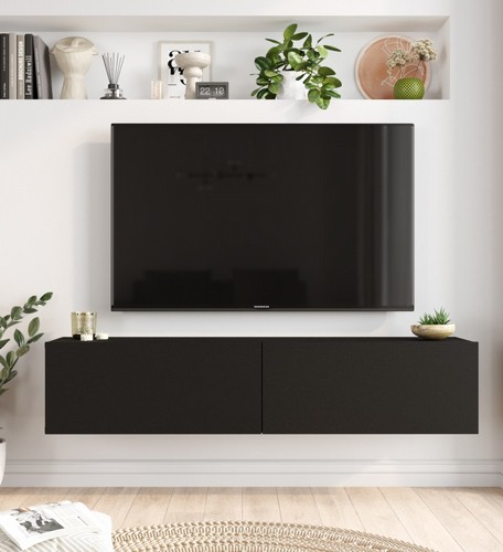 ����� �������� �� ���� HOMAX ARISTO FR10-LB
